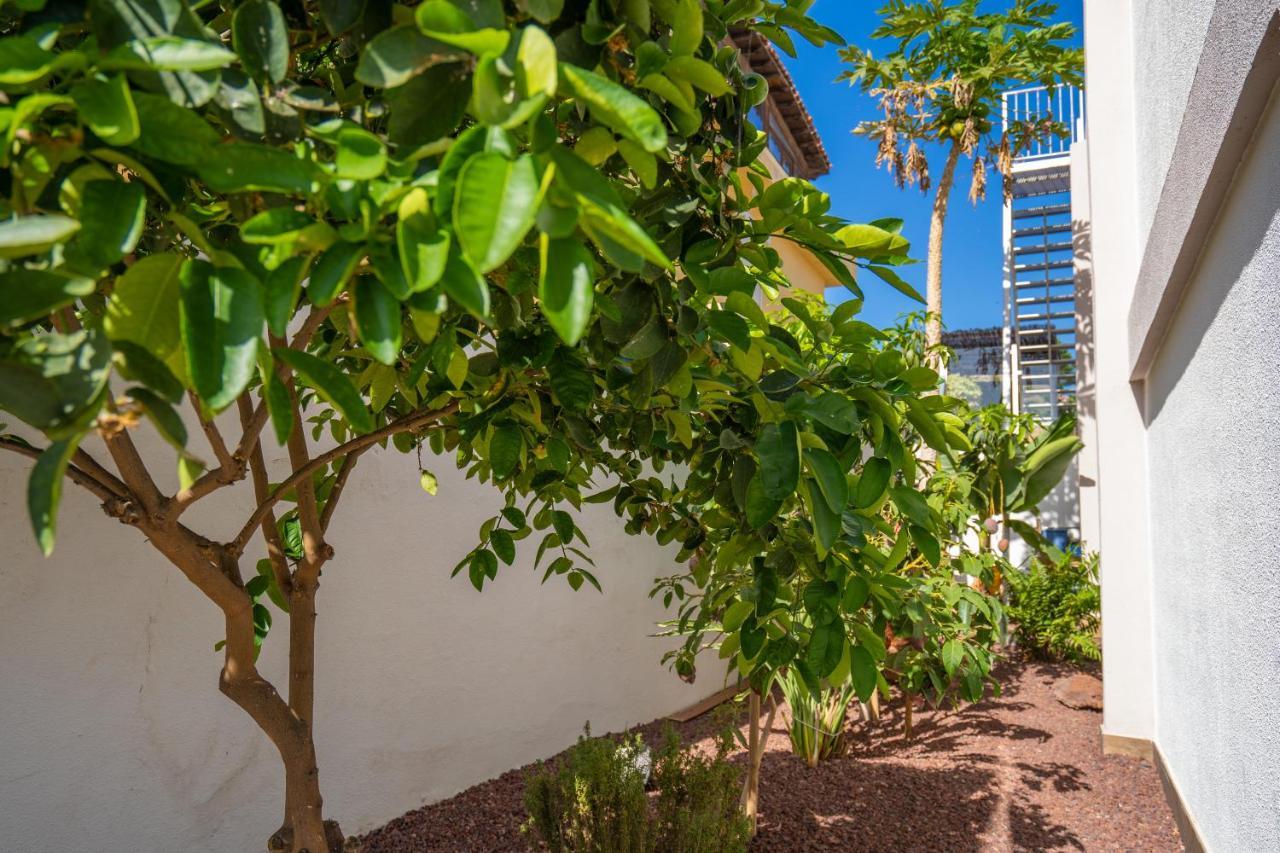 Villa La Laja With 5 Bedrooms And Sea View Callao Salvaje Εξωτερικό φωτογραφία